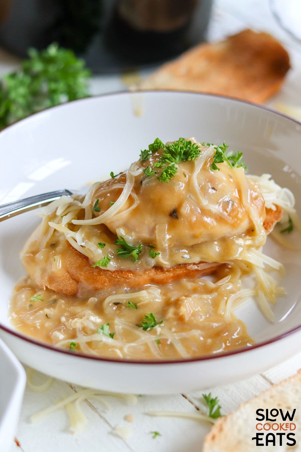 Creamy French onion chicken served over pasta.