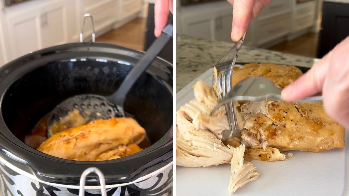 Removing the cooked chicken breasts and shredding with two forks.