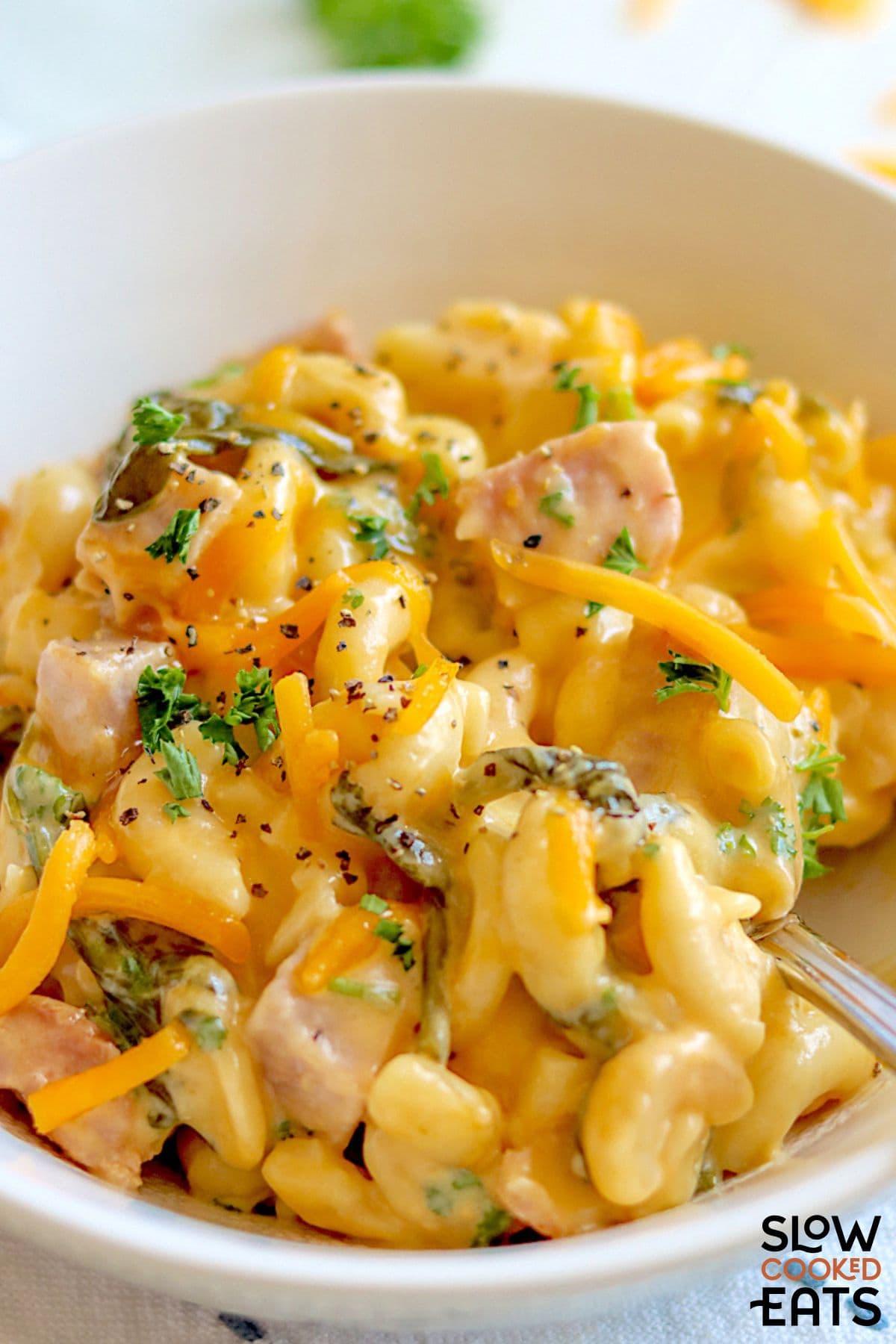 Slow cooker macaroni ham and cheese casserole.
