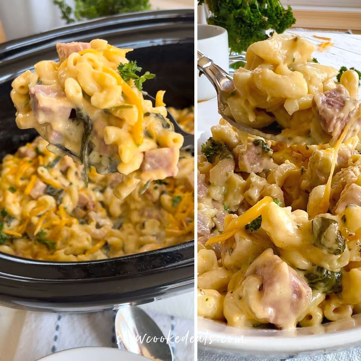 Serving the crock pot mac and cheese.