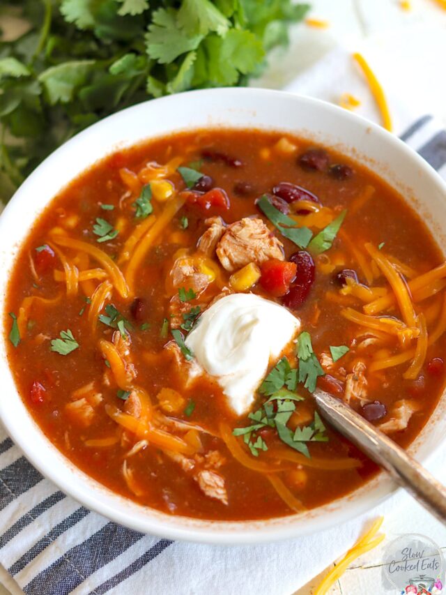SUPER Easy Slow Cooker Chicken Taco Soup