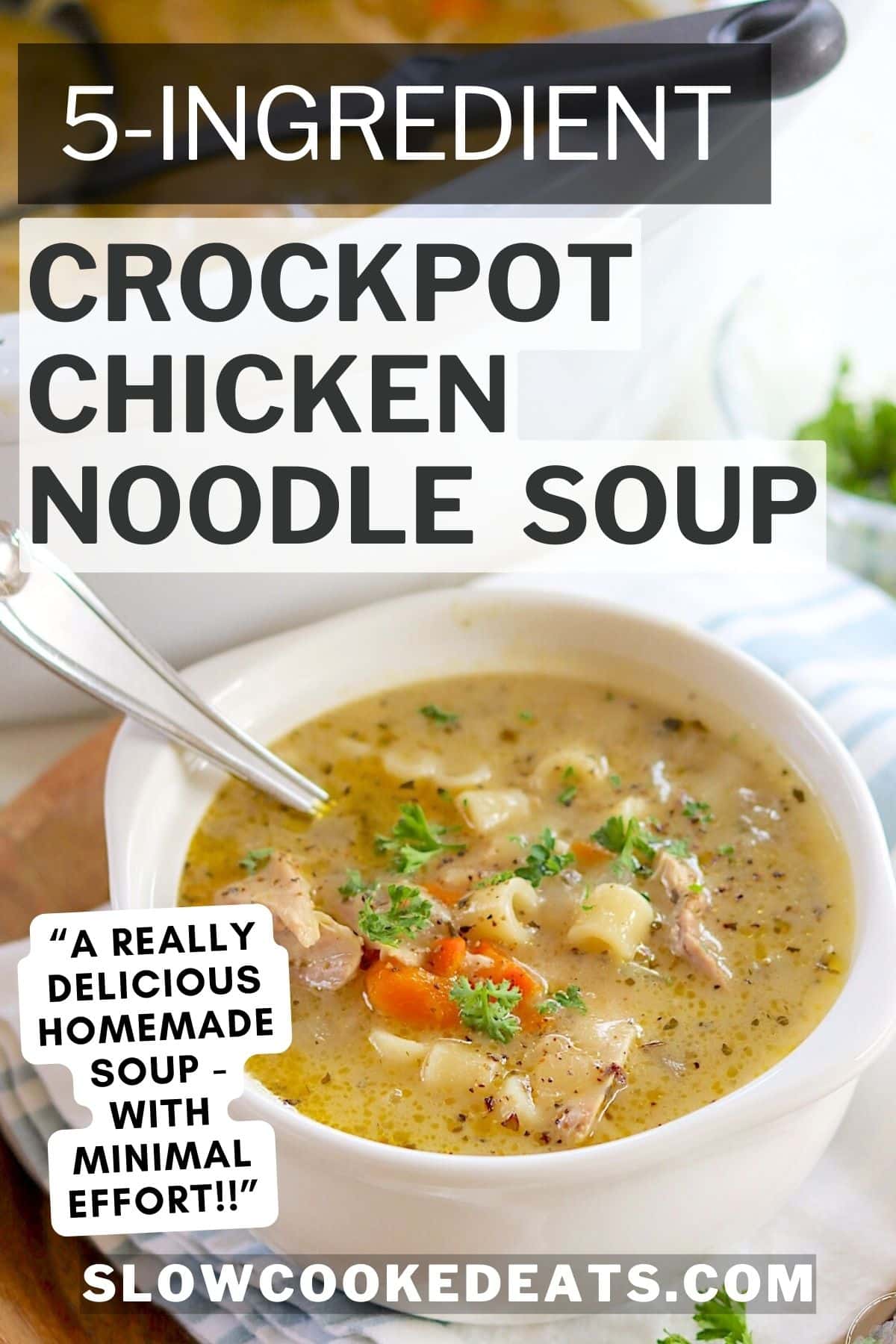 5 ingredient crockpot chicken noodle soup served in a white bowl with a spoon..