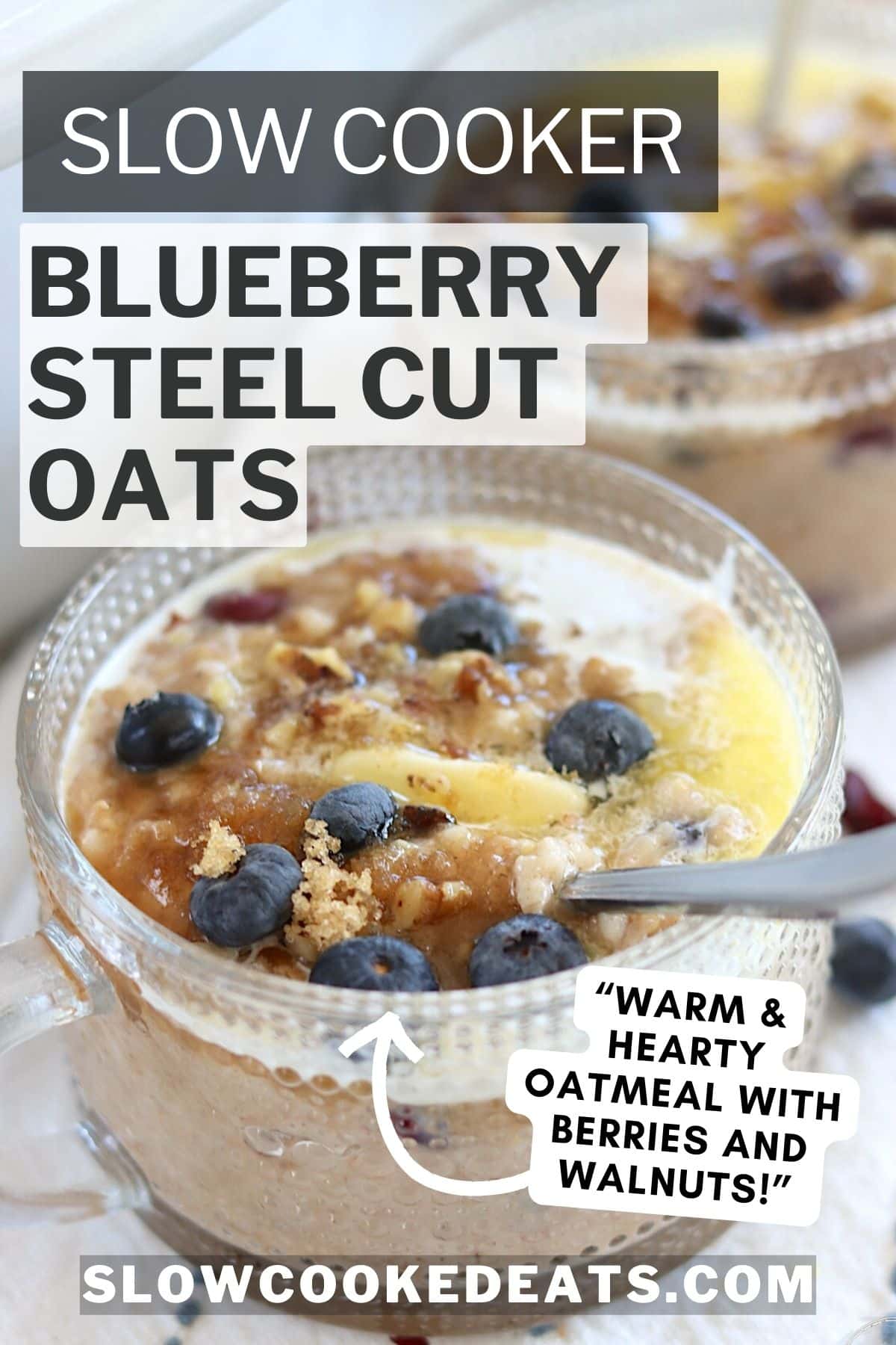 Slow cooker steel cut oats with fresh blueberries in a clear glass bowl.