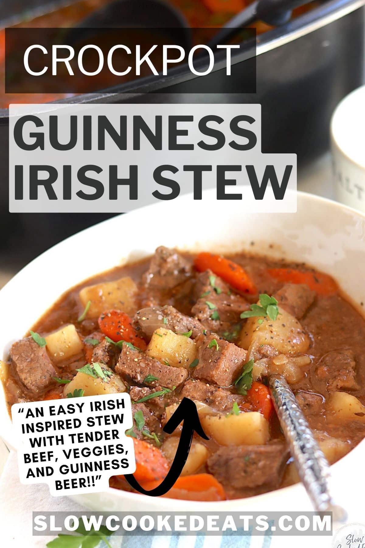 Pinterest pin with a white bowl of slow cooker beef irish stew.