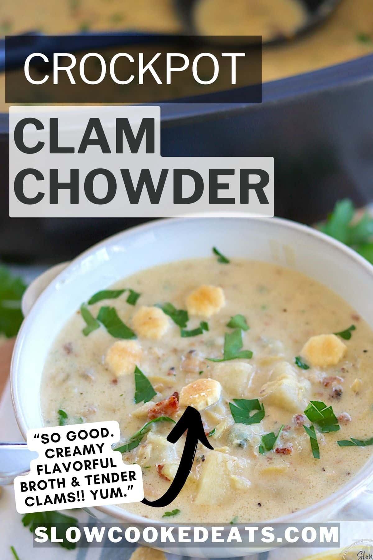 Pinterest pin with a white bowl of crockpot clam chowder.