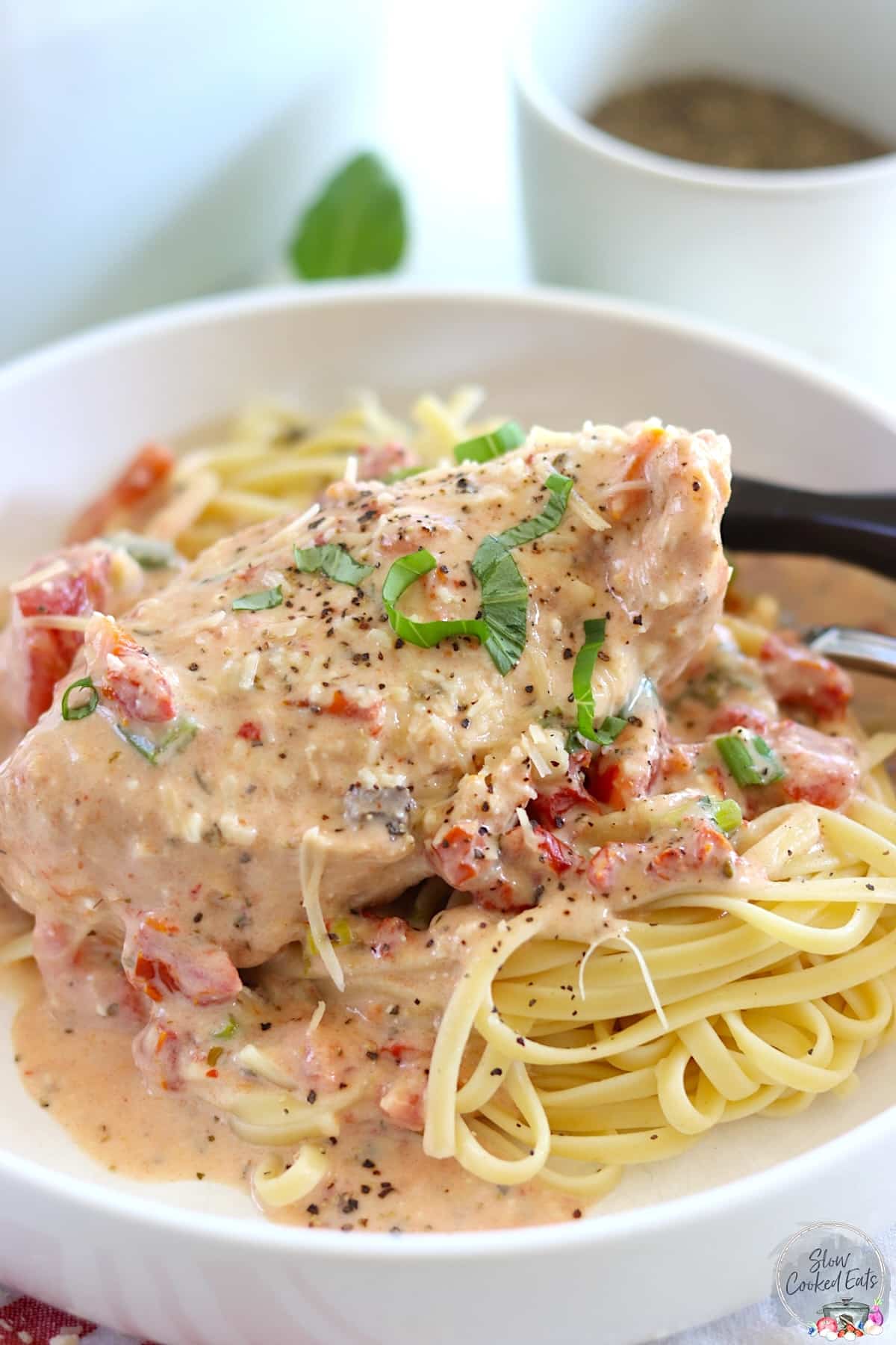 Marry me chicken crock pot recipe with tomato basil sauce over linguine on a white plate.