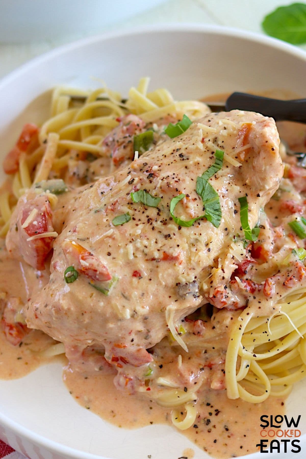 Plate of crock pot marry me chicken with creamy sauce and noodles.