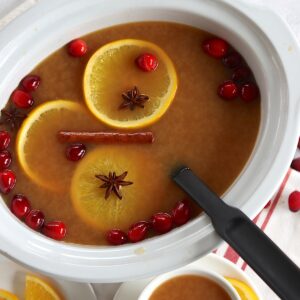 Crockpot Christmas punch in a white oval slow cooker and black ladle.
