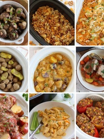 Crockpot Recipes with Ranch Seasoning Mix