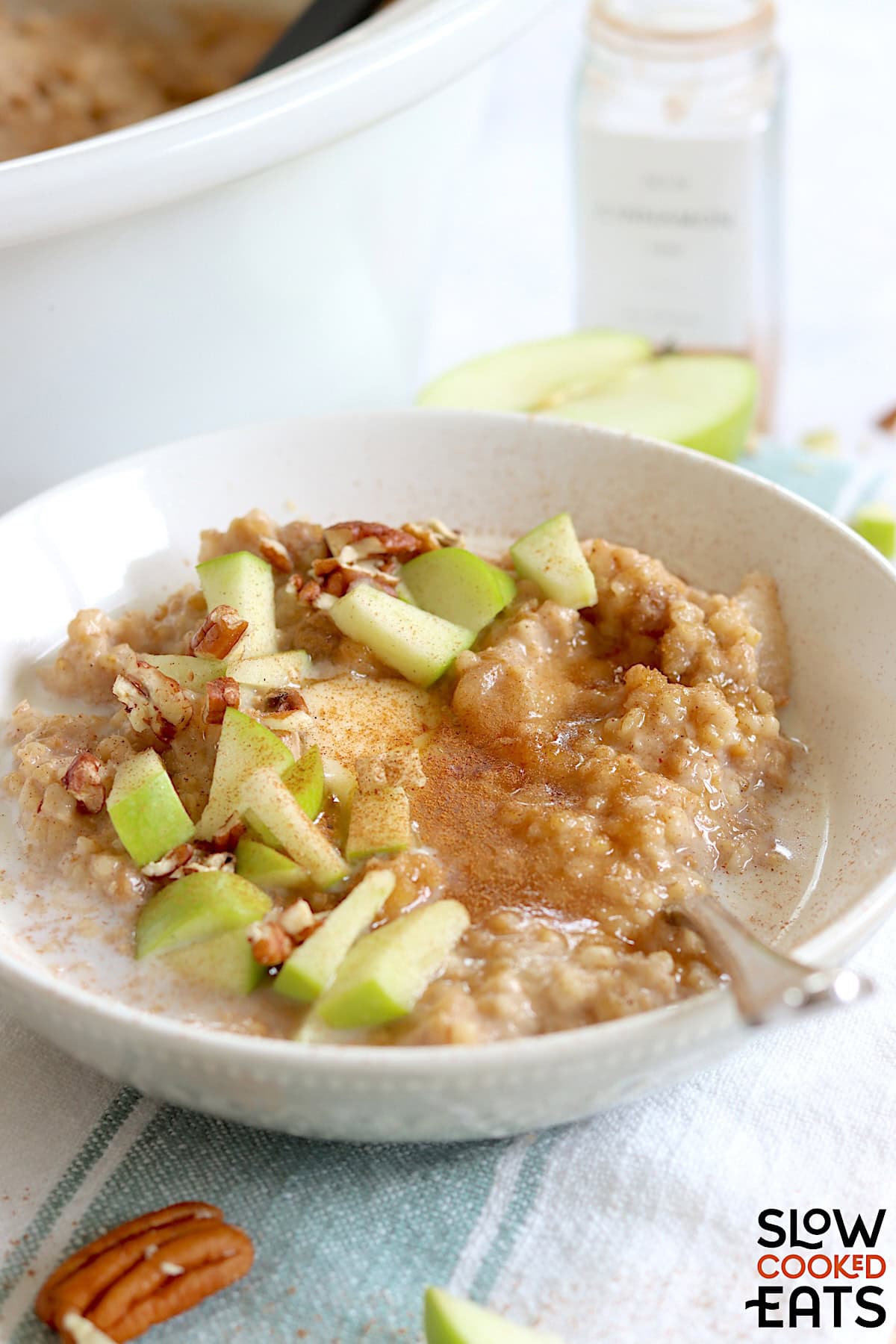 Apple cinnamon crockpot oatmeal recipe in a white round bowl garnished with fresh diced green apple and chopped pecans.